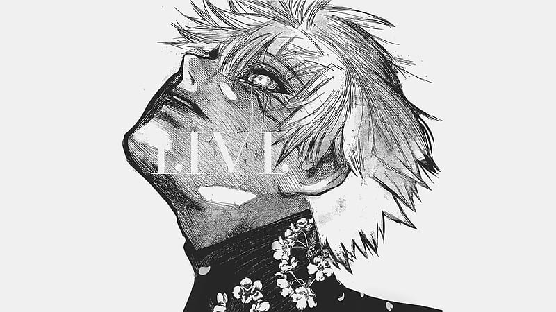 ✧ · KANEKI  Tokyo ghoul manga, Tokyo ghoul wallpapers, Sasaki tokyo ghoul