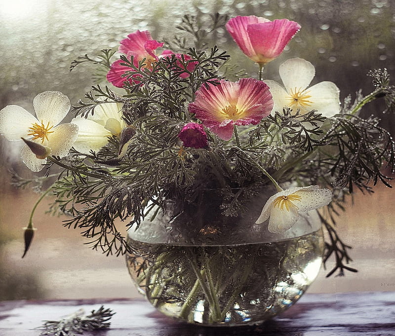 Delicacy vase, flowers, transparent, HD wallpaper