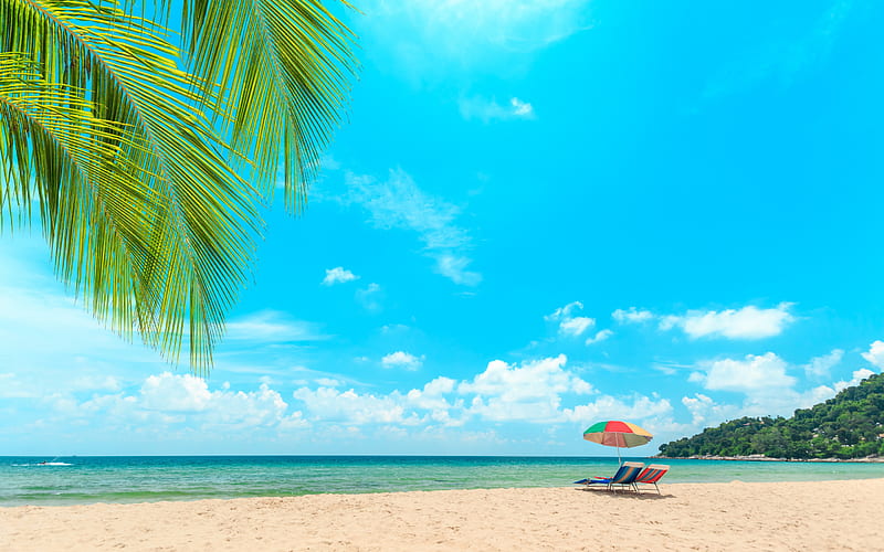 tropical island, luxury beach, summer, ocean, palm trees, sand, seascape, summer travel, deckchairs on the beach, HD wallpaper