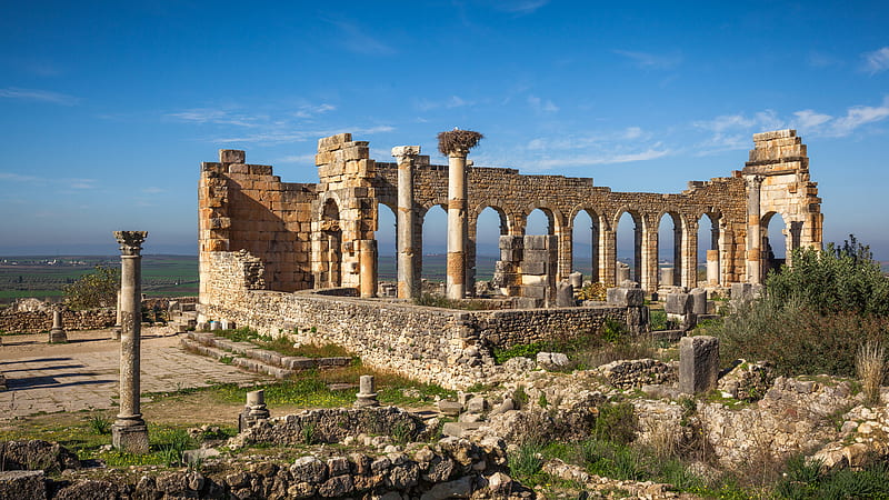Africa Architecture Morocco Ruin Volubilis African, HD wallpaper