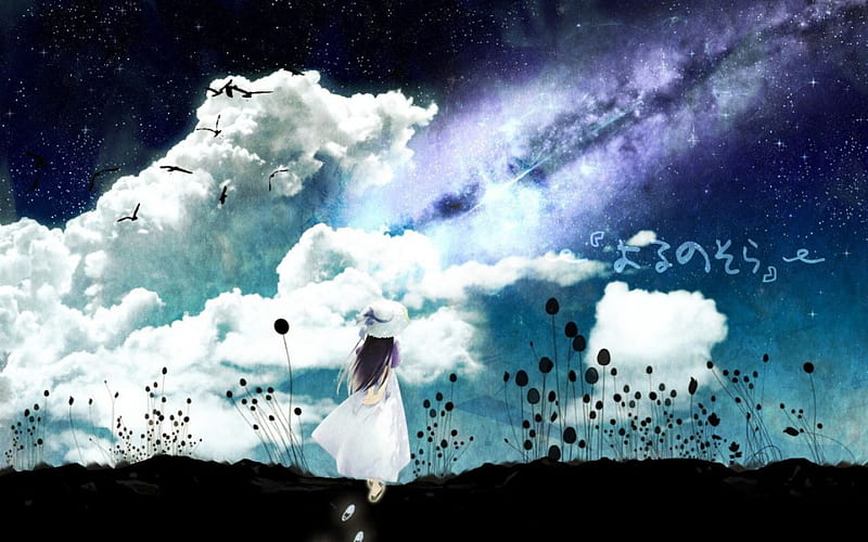 ~Shooting Star~, shooting star, girl, anime, white dress, clouds, sky, field, night, HD wallpaper