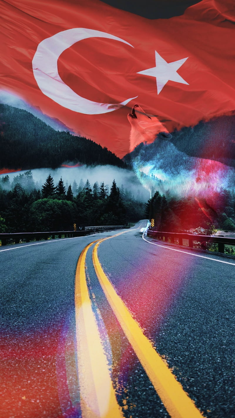 Turk , flag, devlet, turkhis, turkiye, vatan, HD phone wallpaper