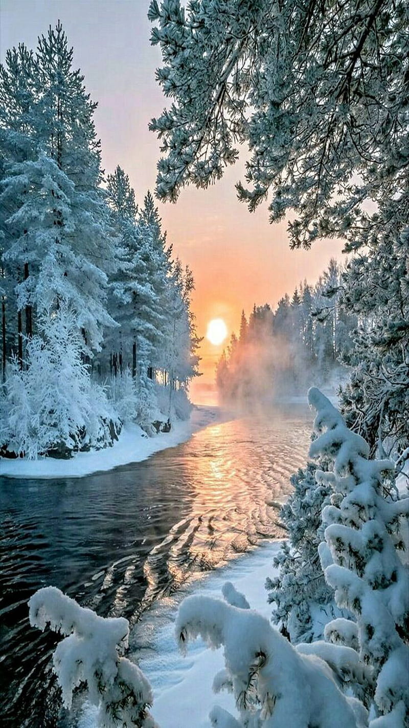 winter, landscape, nature, river, scenes, snow, sun, trees, water, HD phone wallpaper