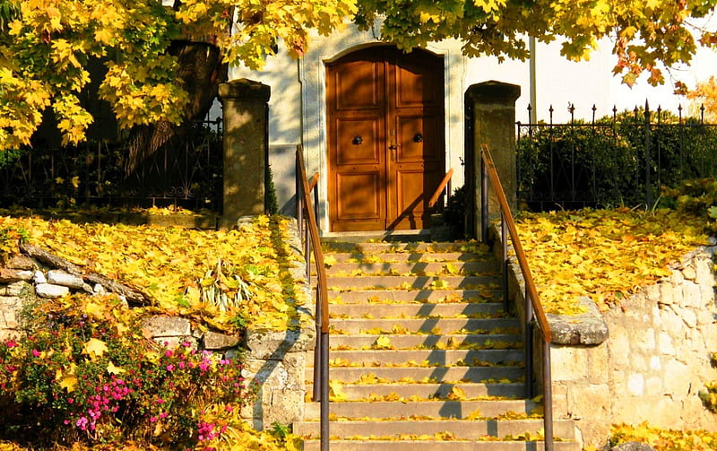 Autumn home, fall, pretty, house, falling, welcome, stairs, yellow, bonito, foliage, door, countryside, leaves, nice, calm, flowers, season, rural, rustic, quiet, lovely, golden, colors, trees, serenity, nature, branches, HD wallpaper