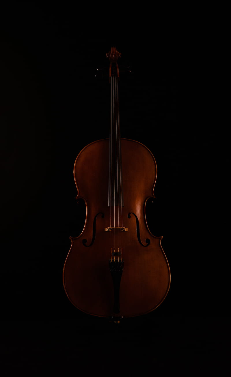 violin, musical instrument, music, dark, HD phone wallpaper