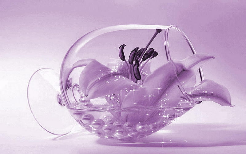 Stargazer In A Glass, Purple, Stargazer, Glass, Flower, HD wallpaper