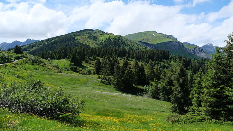 Green Trees Plants Bushes Grass Slope Mountains In White Clouds Blue