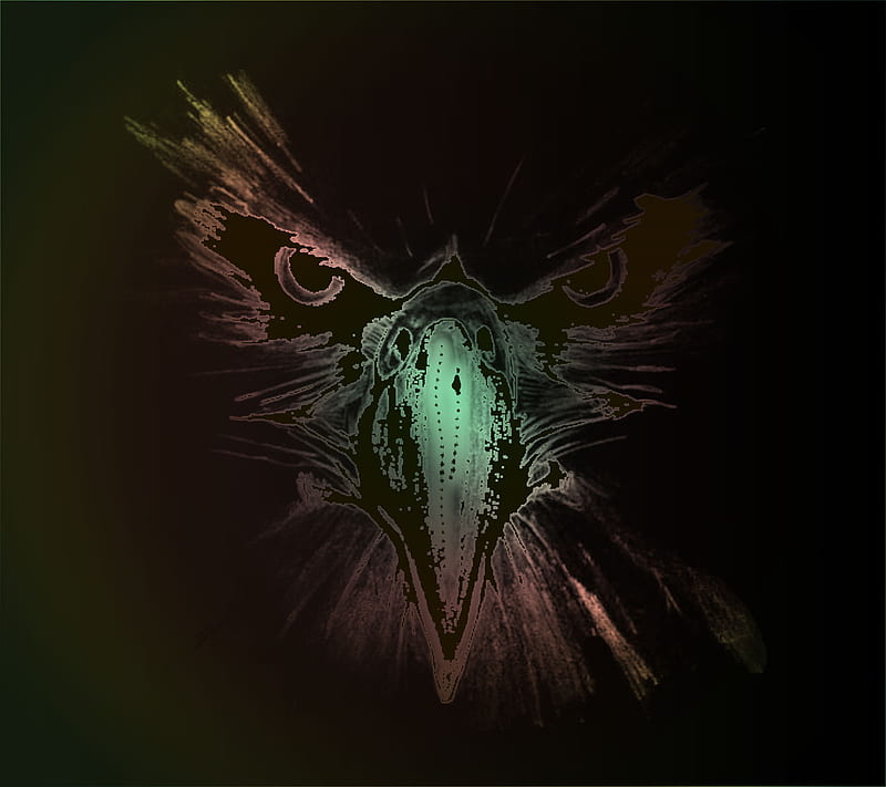 Aguila, drawn, eagle, saguaro, HD wallpaper