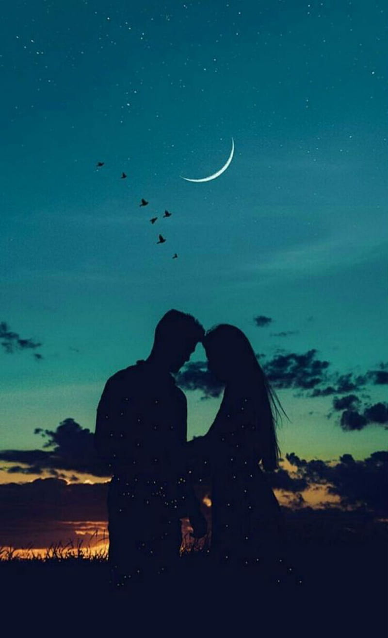 Stay, moon, crescent, couple, love, silhouette, together, night, birds, HD phone wallpaper