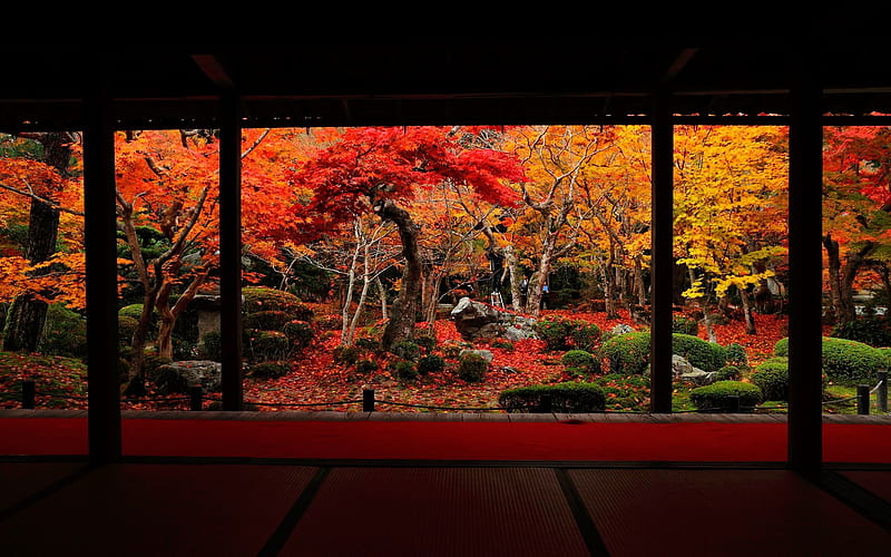 Gorgeous Autumn-Enkoji Temple Autumn, HD wallpaper