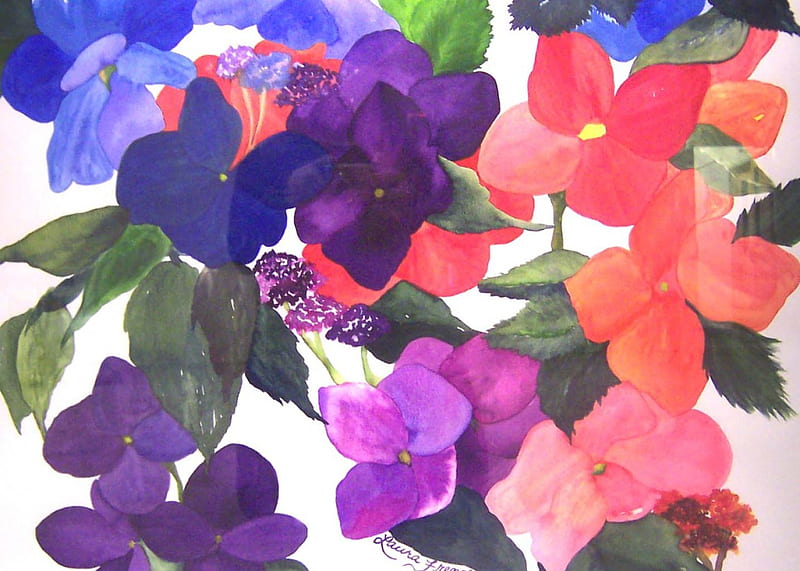 Hortensias, colores, flores, Fondo de pantalla HD | Peakpx