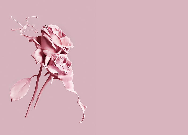 Roses, liquid, rose, creative, trandafir, josh caudwell, fantasy ...