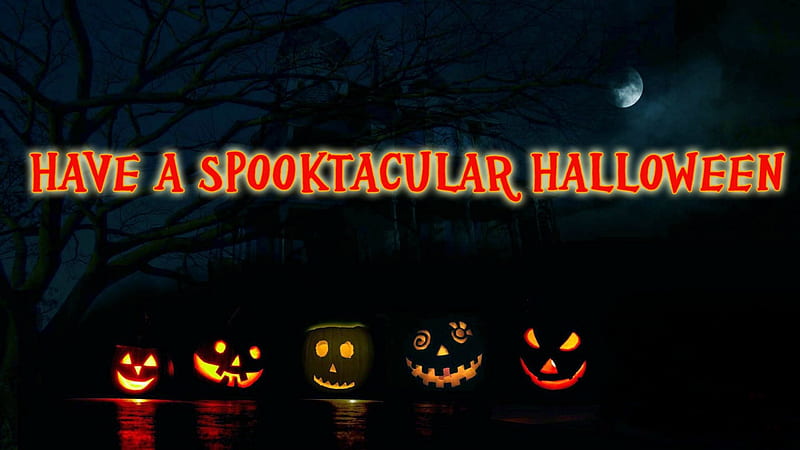 Spooktacular Halloween, house, jack o lanterns, haunted house, trees, moon, full moon, Halloween, reflection, branches, pumpkins, HD wallpaper