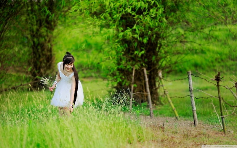 girl picking fowers, forest, tree, grass, girl, HD wallpaper