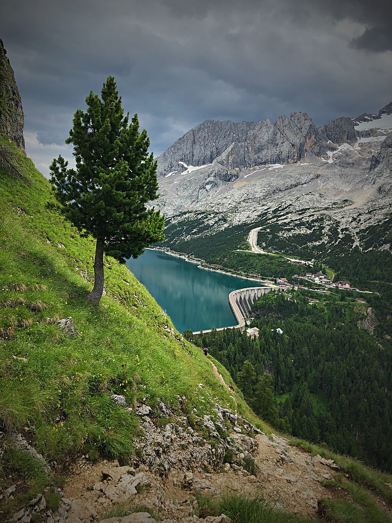mountains, trees, lake, dam, landscape, HD phone wallpaper
