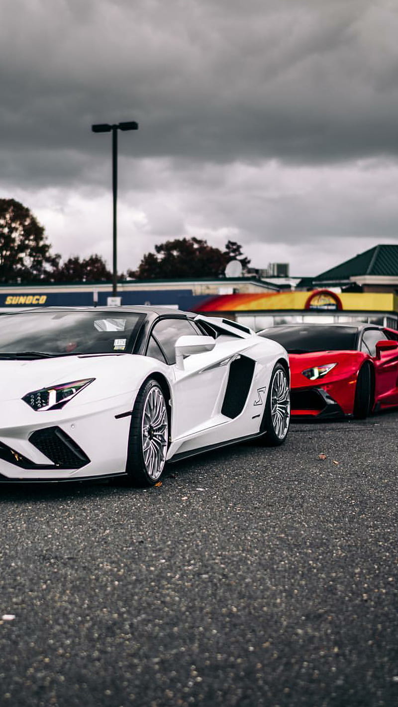 Lambo Brothers, lamborghini, aventador, white, car, supercar, sports ...