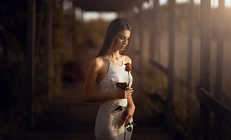 Girl With Rose In Hand, girls, model, rose, flowers, white-dress, dress, HD wallpaper