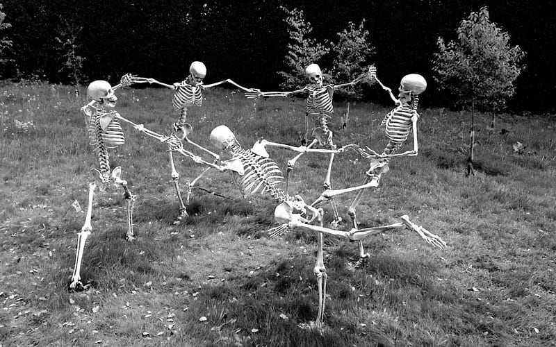 Dancing Skeletons, Skeletons, Dancing, Graveyard, Fantasy, HD wallpaper
