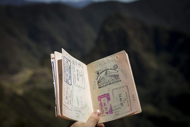 person holding passport, HD wallpaper