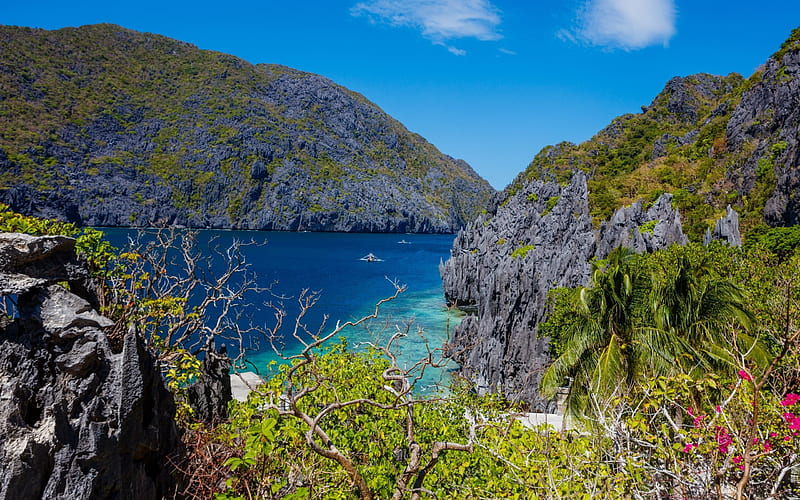Palawan, Island, bay, summer, sea, rocks, Philippines, HD wallpaper