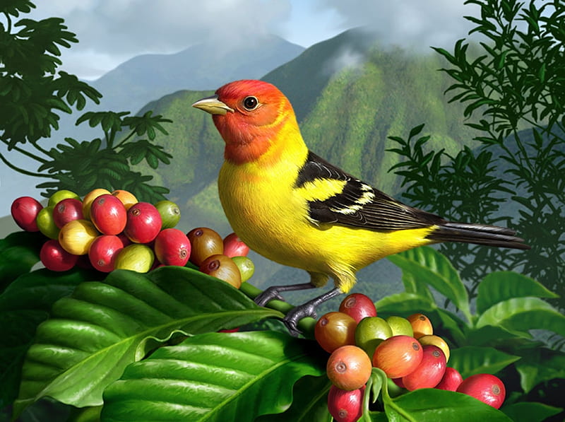 Bird and fruits, red, colorful, orange, bird, green, jerry lofarro, yellow, pasari, fruit, HD wallpaper
