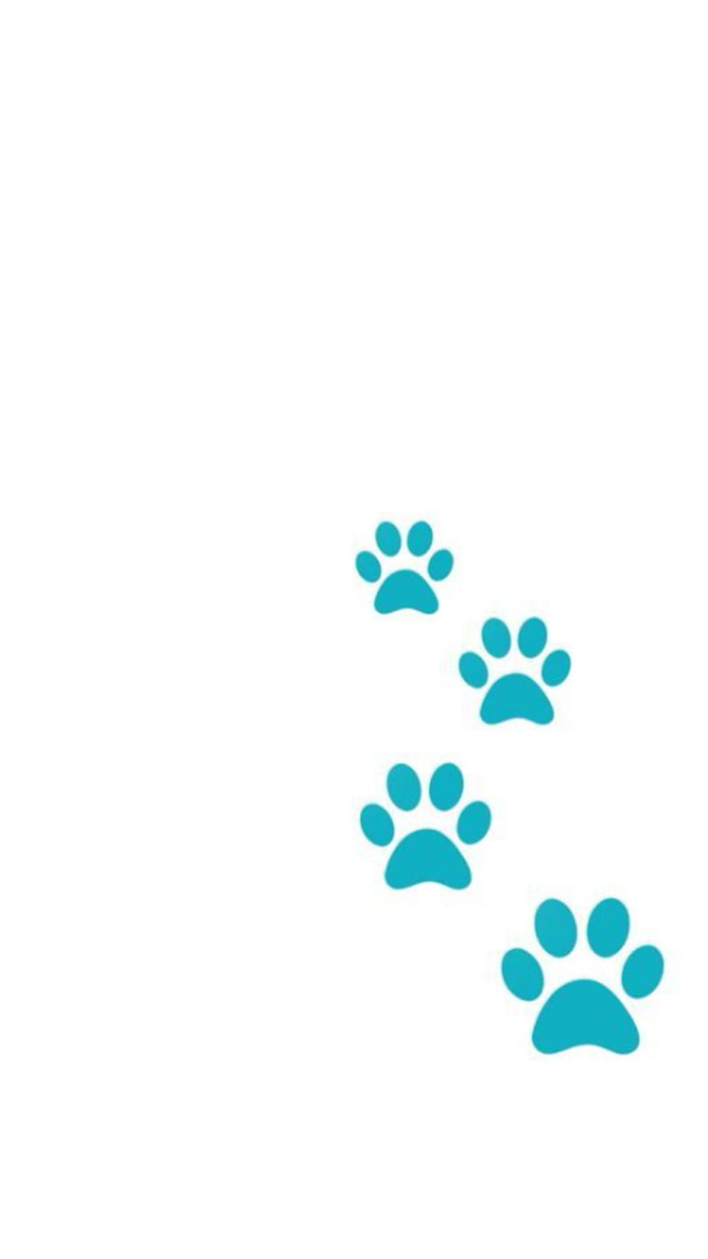 Paw prints, dog, dogs, paw print, pawprint, pawprints, HD phone wallpaper