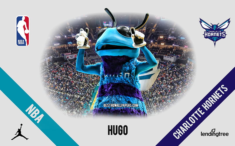 Hugo, mascot, Charlotte Hornets, NBA, portrait, USA, basketball, Spectrum Center, Charlotte Hornets logo, HD wallpaper