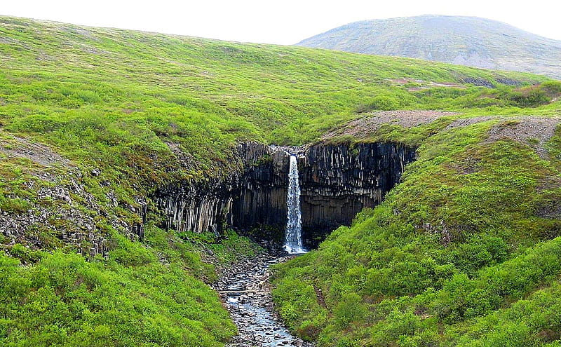 Svartifoss, Iceland, Stream, Waterfall, Iceland, Nature, HD wallpaper