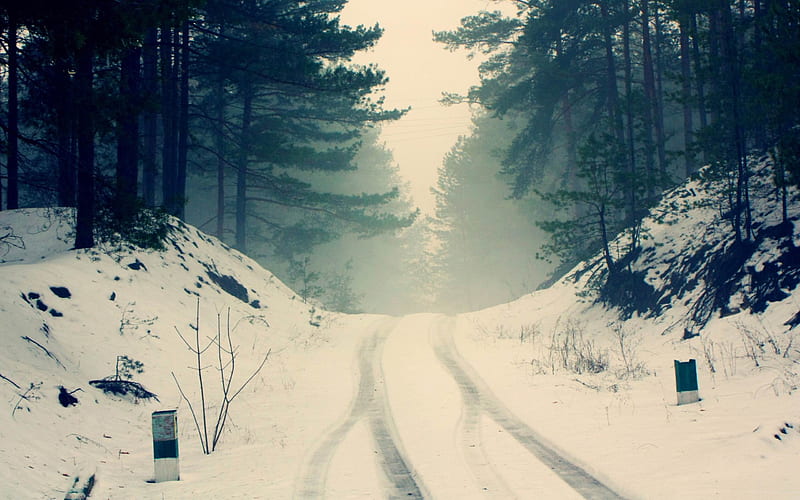 car snow tracks through the forest road-winter natural landscape, HD wallpaper