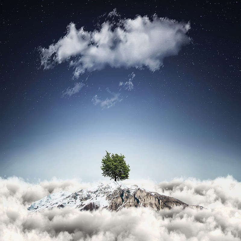 Tree above clouds, art, galaxy, island, love, hop, sky, space, stars, HD phone wallpaper
