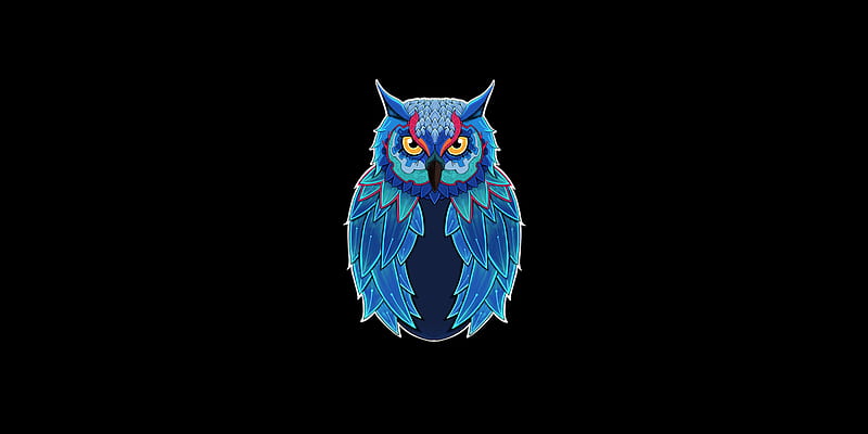 Owl Dark , owl, animals, dark, black, HD wallpaper