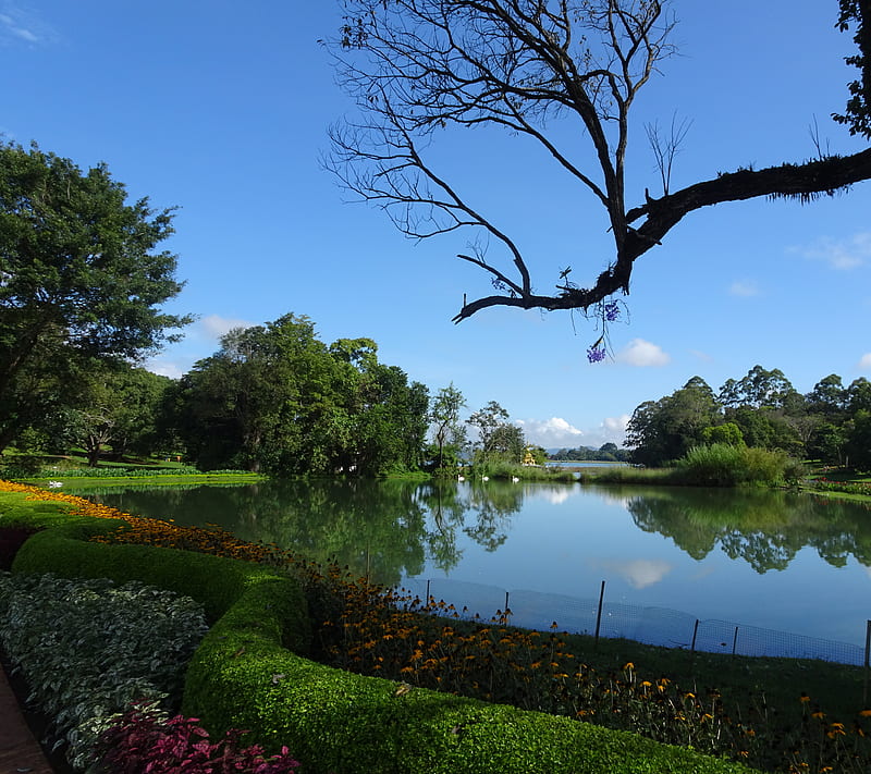 Burma, blue, blue, botanical garden, ciel bleu, eau, jardin, lac, mamyo, nature, pond, sky, water, HD wallpaper