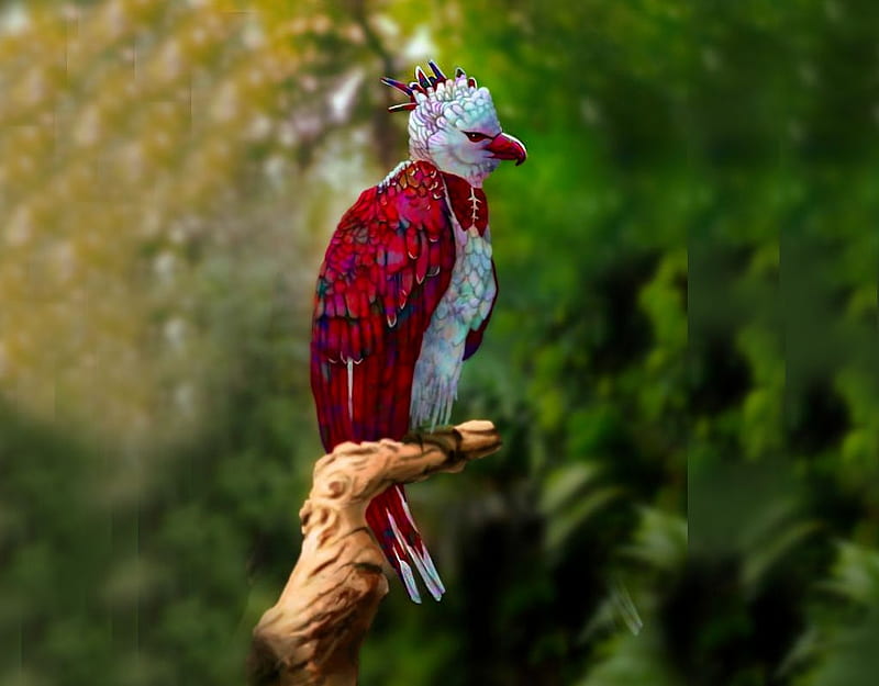 Rainbow Harpy Eagle, album, all things red, red, Art Station, harpy, eagle, HD wallpaper