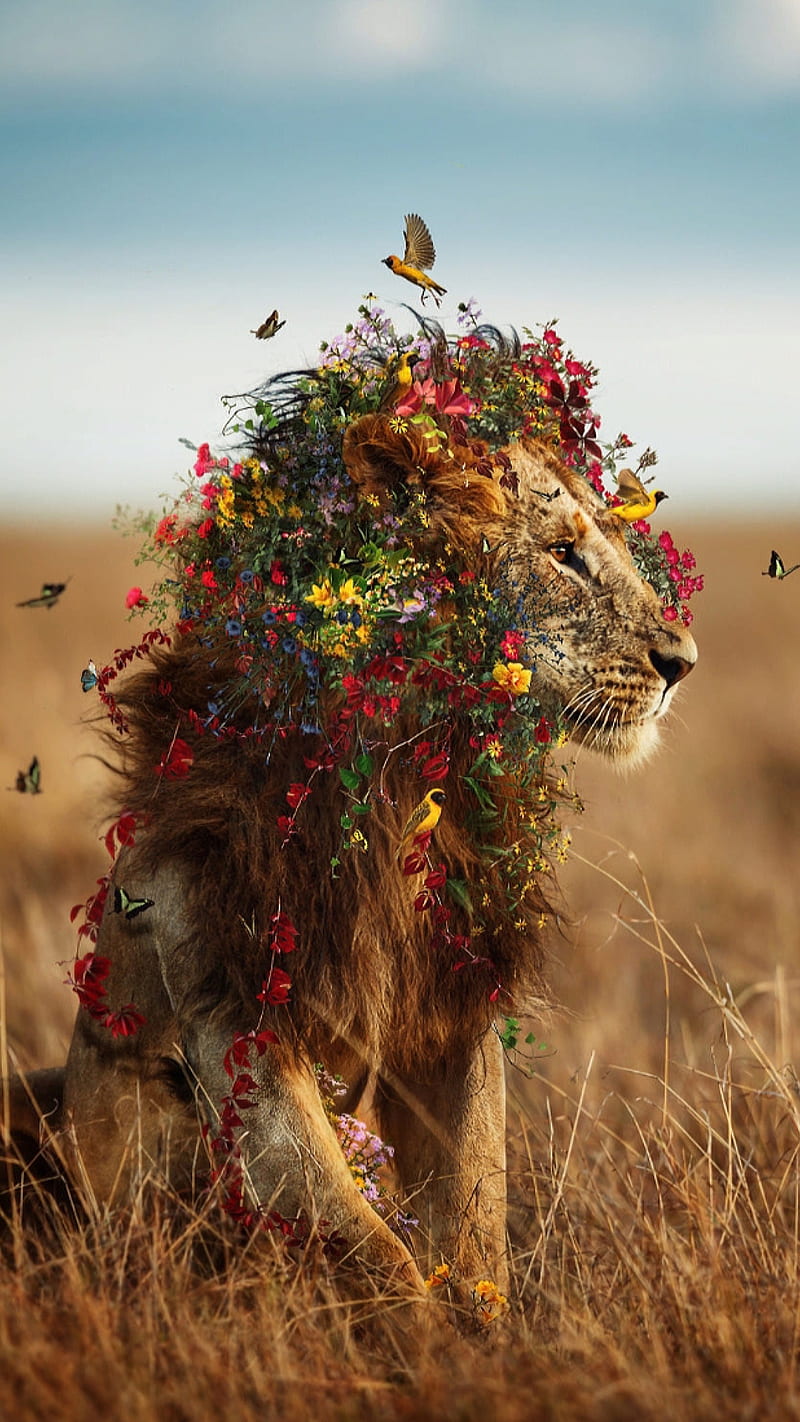 Digital art, animal, butterflies, flowers, lion, wild, HD phone wallpaper