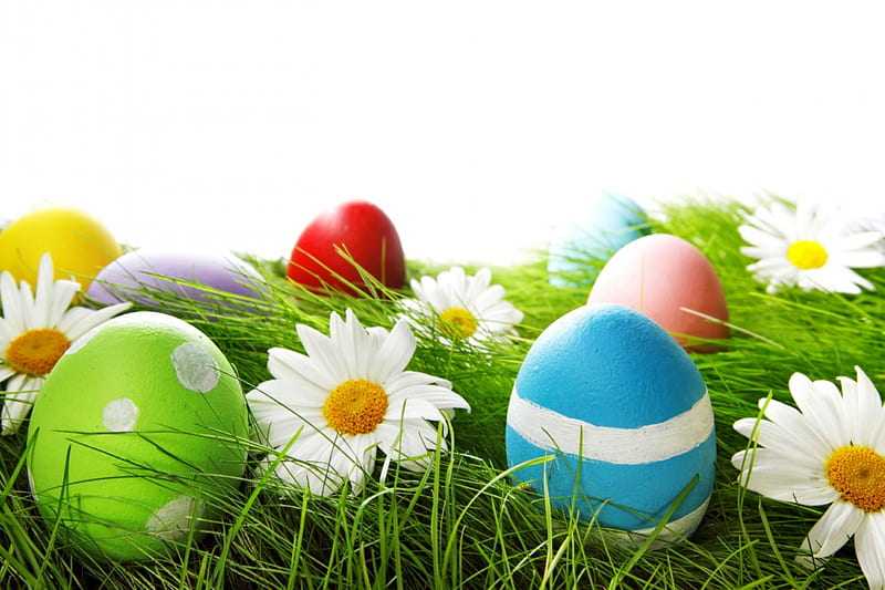 Easter Time, grass, eggs, flowers, spring, easter, camomile, daisy, meadow, HD wallpaper