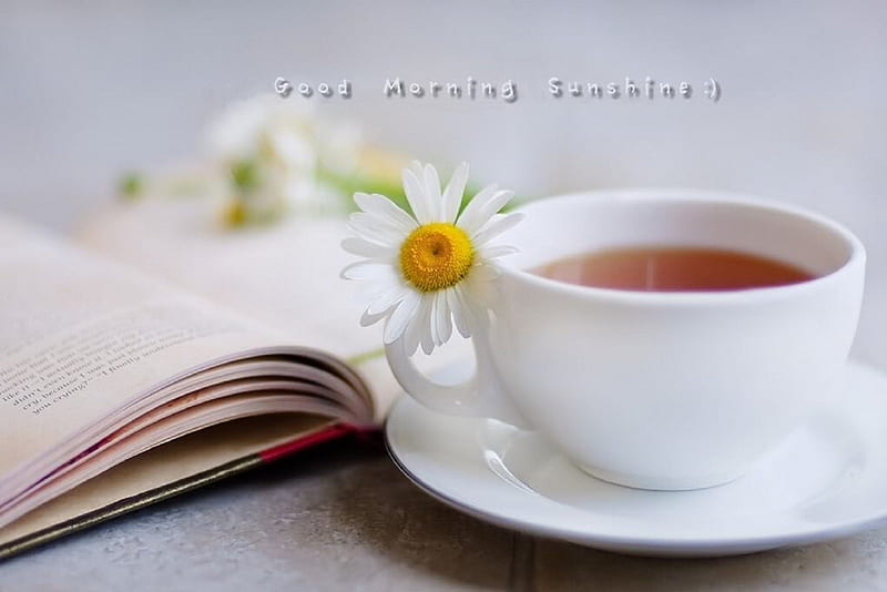 Good Morning Sunshine :), lovely, book, bonito, tea, graphy, love, cup, morning, daisy, HD wallpaper