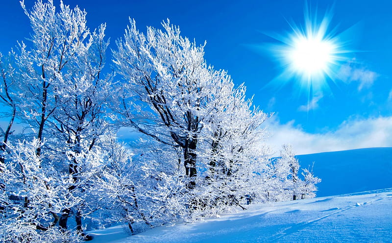 Winter sun, pretty, glow, sun, bonito, cold, mountain, nice, beauty, sun rays, frost, blue, lovely, sky, trees, winter, rays, icy, slope, ice, sunshine, nature, frozen, HD wallpaper