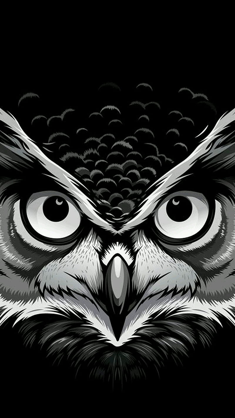 Wise Guy, 929, definition, flat, high, owl, q, ultra, wise, HD phone wallpaper