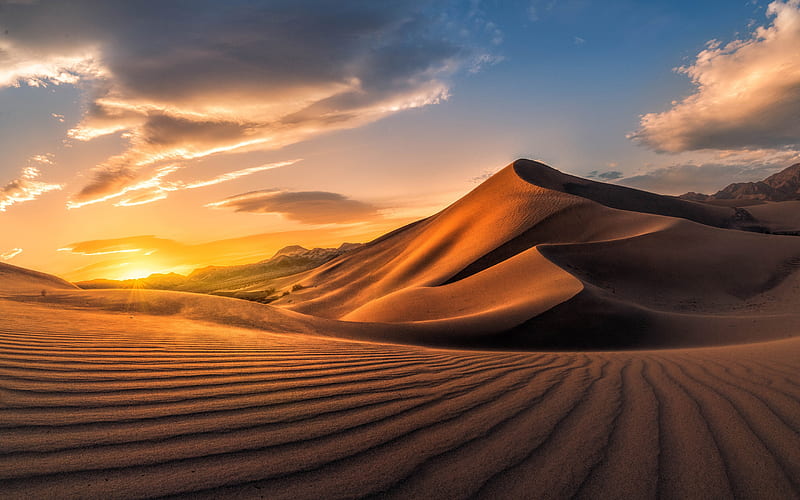desert, sunset, sand dunes, sand, Africa, Sahara, desert landscape, HD wallpaper