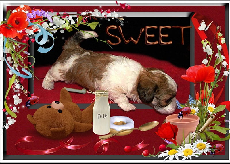 Curious Puppie, puppie, food, milk, dog, little dog, sweet, HD wallpaper