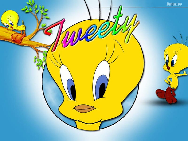 Tweety, cartoons, HD wallpaper