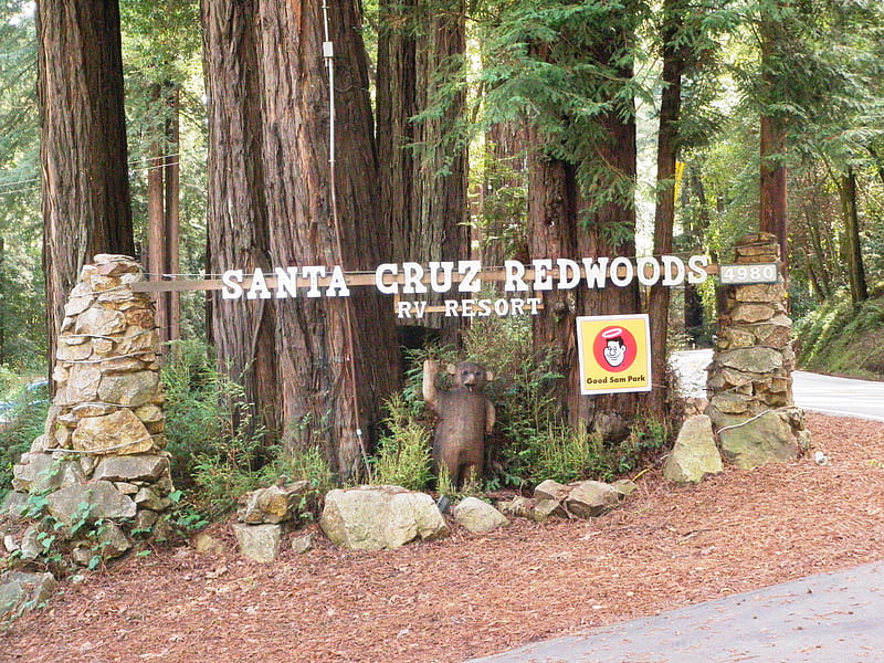 Santa Cruz Redwoods RV Resort (formerly River Grove RV Resort), Felton, CA, HD wallpaper