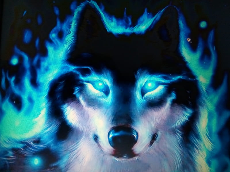 Wolf, angel, the wolf, HD wallpaper | Peakpx