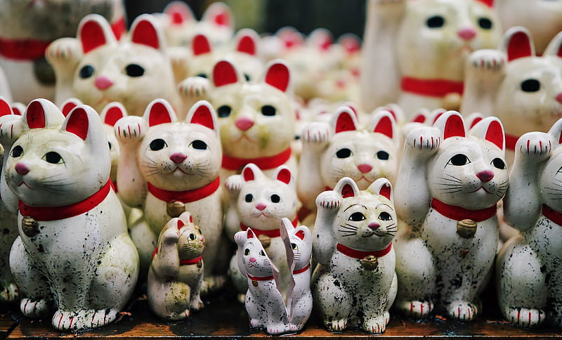 Lucky cats, lucky cat, red, neko, paw, white, pisica, HD wallpaper