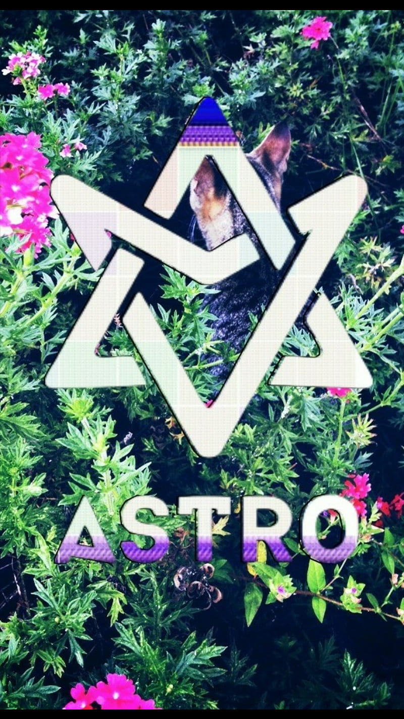Astro, logotipo de astro, astro, kpop, Fondo de pantalla de teléfono HD |  Peakpx