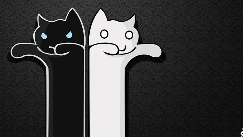 Black White Cats Anime Images  AniYukicom