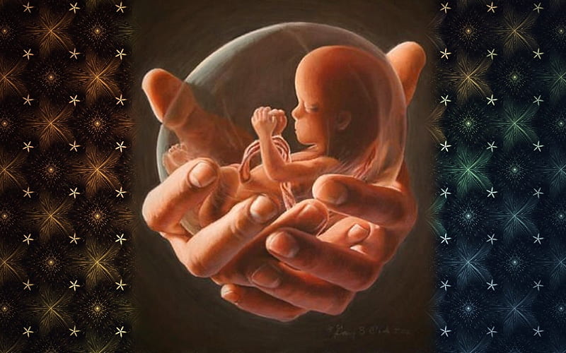 1920x1080px, 1080P free download | Save Unborn!, stars, hands, unborn ...
