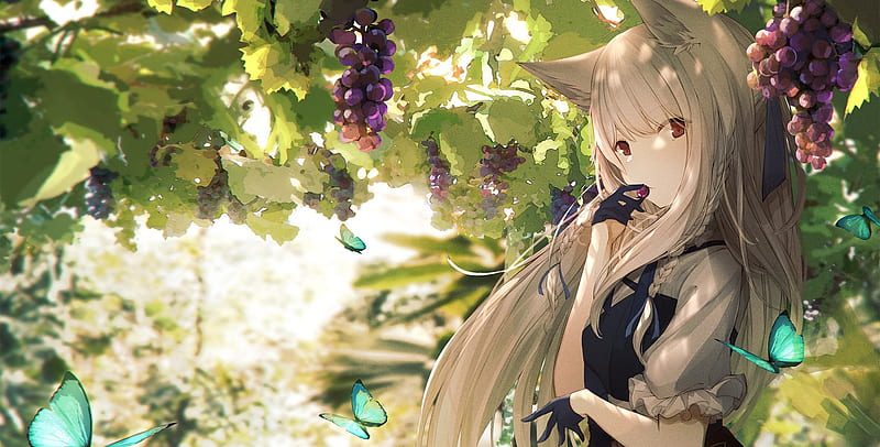 Cute anime girl, animal ears, eating, fruit, tree, grapes, white hair,  gloves, HD wallpaper | Peakpx