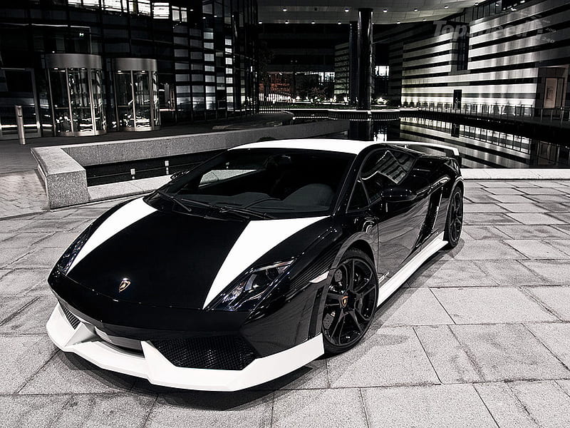 Lamborghini Gallardo black and white Edition, black, lamborghini, bonito,  gallardo, HD wallpaper | Peakpx