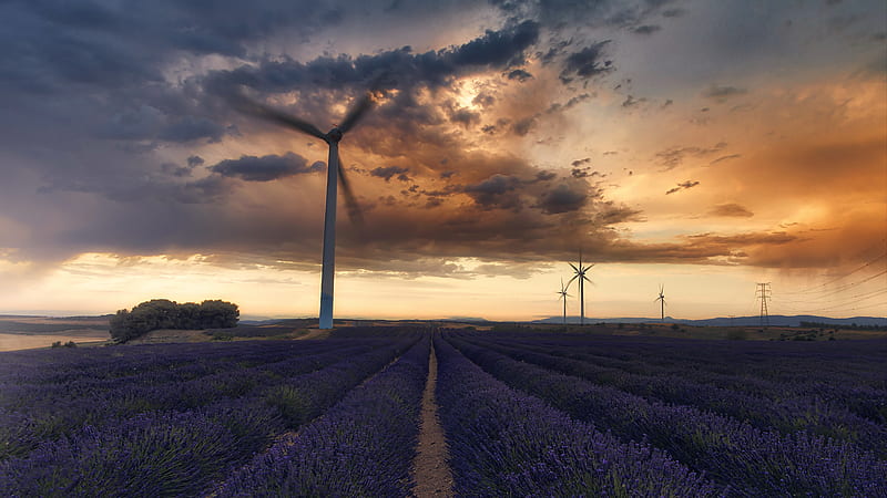 Man Made, Wind Turbine, Cloud, Lavender, Sky, Sunset, HD wallpaper